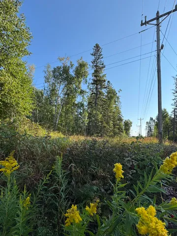 $179,900 | 5361 Highway 61, Lutsen, MN 55612