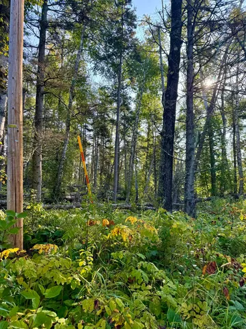 $179,900 | 5361 Highway 61, Lutsen, MN 55612