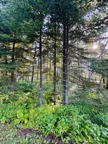 $179,900 | 5361 Highway 61, Lutsen, MN 55612