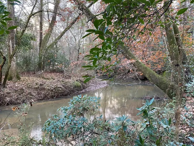 $1,043,030 | Tbd Tbd Ms-568, Osyka, MS 39657