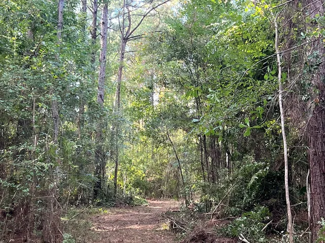 $1,043,030 | Tbd Tbd Ms-568, Osyka, MS 39657