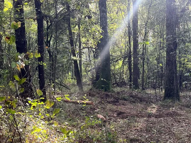 $1,043,030 | Tbd Tbd Ms-568, Osyka, MS 39657