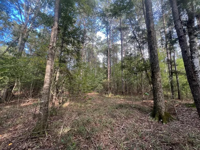 $1,043,030 | Tbd Tbd Ms-568, Osyka, MS 39657