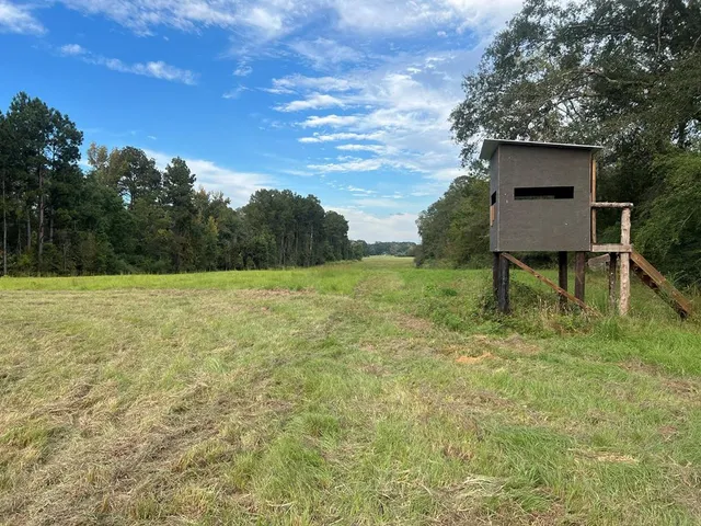 $1,043,030 | Tbd Tbd Ms-568, Osyka, MS 39657