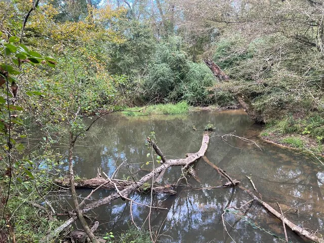 $1,043,030 | Tbd Tbd Ms-568, Osyka, MS 39657