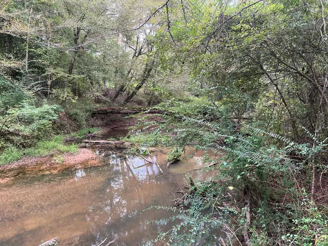 $1,043,030 | Tbd Tbd Ms-568, Osyka, MS 39657