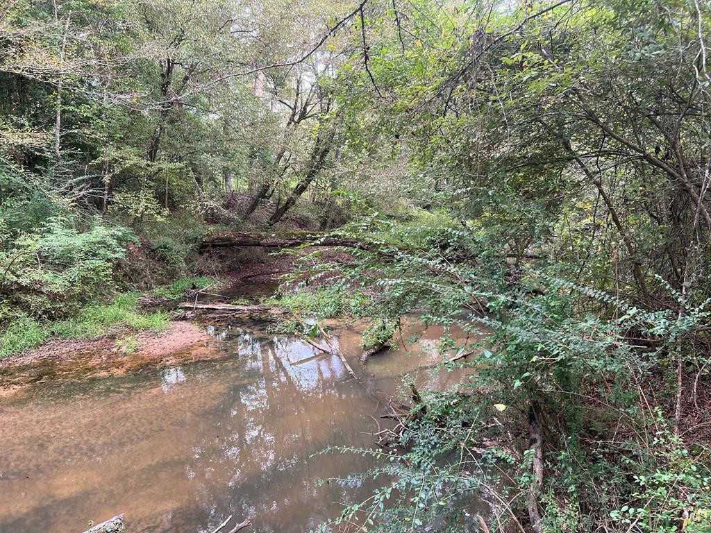 Tbd Tbd Ms-568 Osyka, MS 39657 - Photo 19 of 37 Photo 19