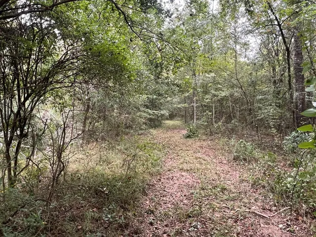 $1,043,030 | Tbd Tbd Ms-568, Osyka, MS 39657