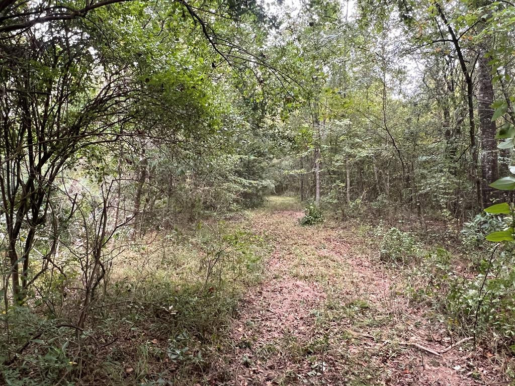 Tbd Tbd Ms-568 Osyka, MS 39657 - Photo 20 of 37 Photo 20