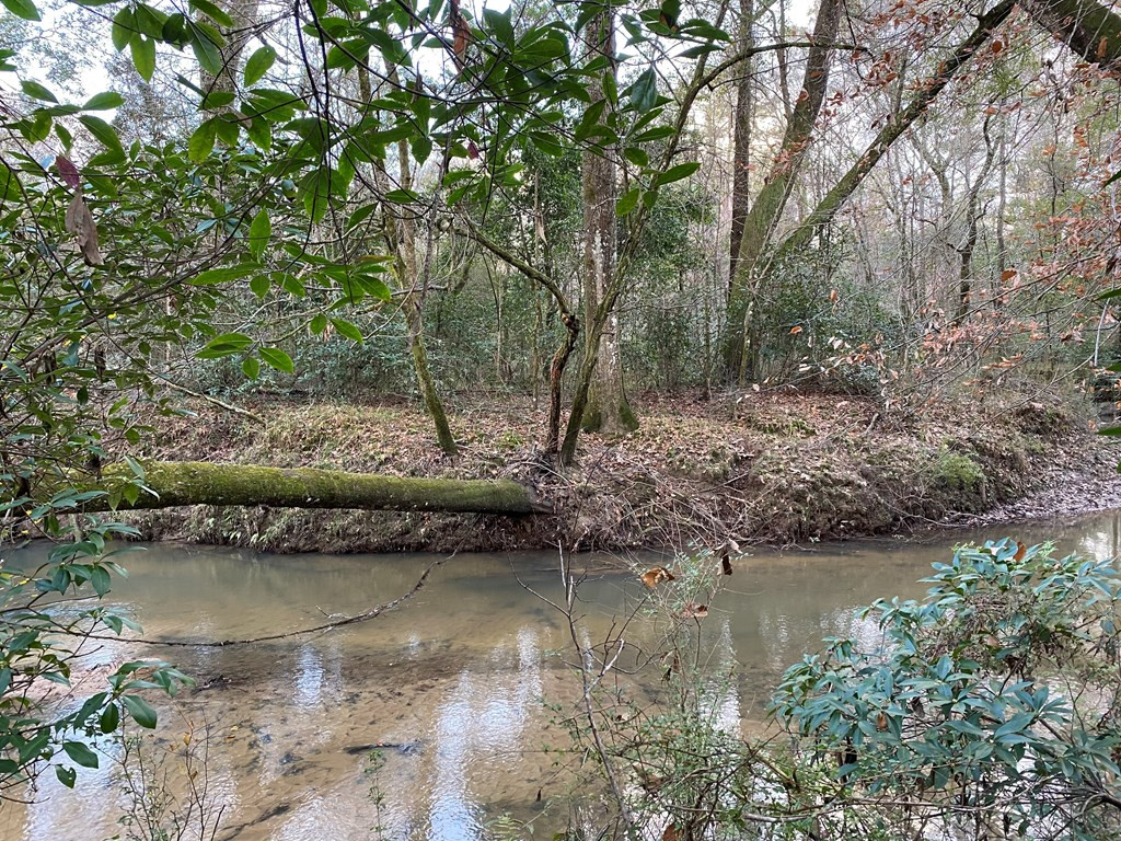 Tbd Tbd Ms-568 Osyka, MS 39657 - Photo 2 of 37 Photo 2