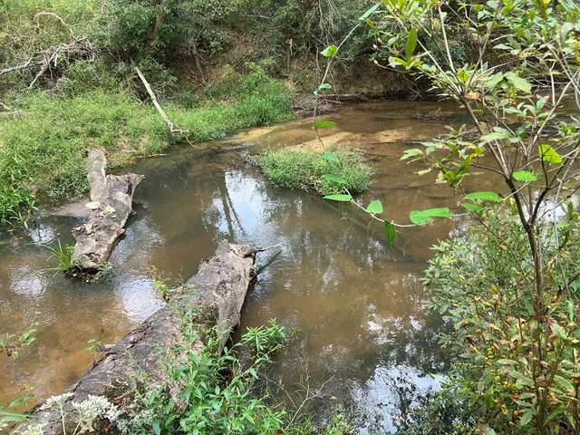 $1,043,030 | Tbd Tbd Ms-568, Osyka, MS 39657