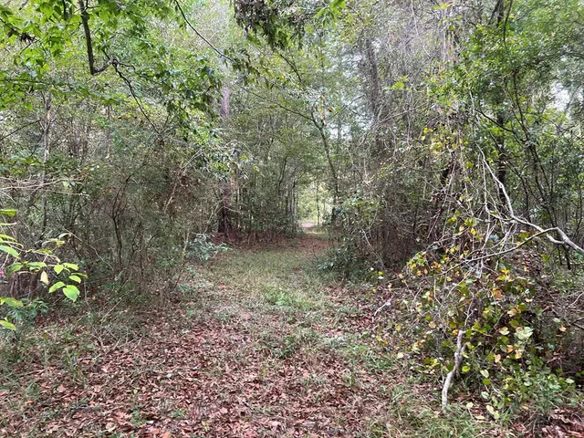 $1,043,030 | Tbd Tbd Ms-568, Osyka, MS 39657