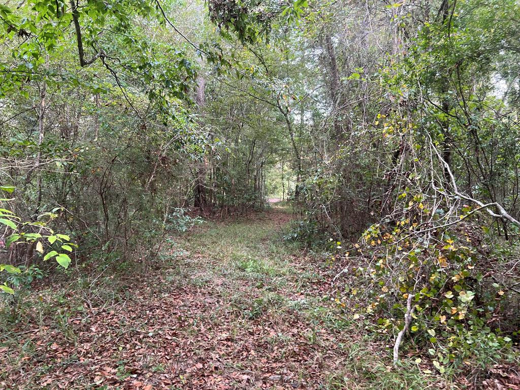 Tbd Tbd Ms-568 Osyka, MS 39657 - Photo 23 of 37 Photo 23