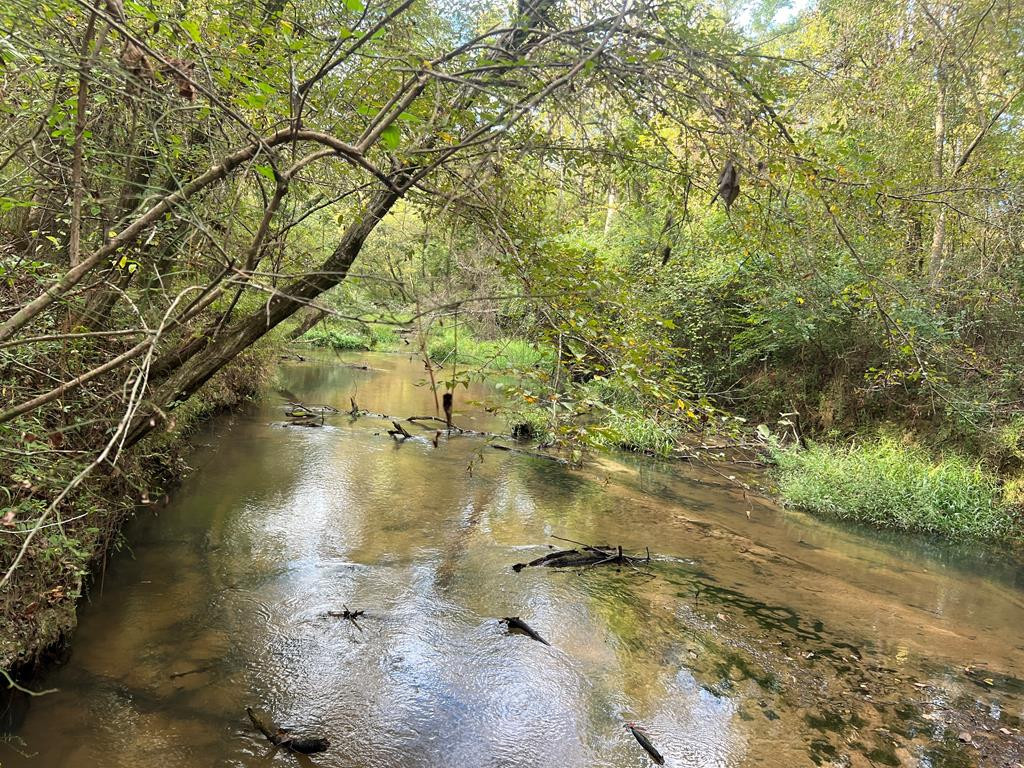 Tbd Tbd Ms-568 Osyka, MS 39657 - Photo 24 of 37 Photo 24
