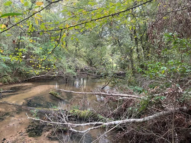 $1,043,030 | Tbd Tbd Ms-568, Osyka, MS 39657