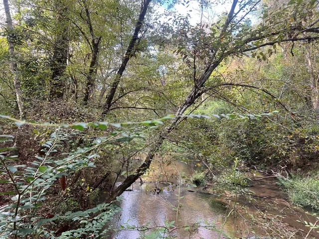 $1,043,030 | Tbd Tbd Ms-568, Osyka, MS 39657