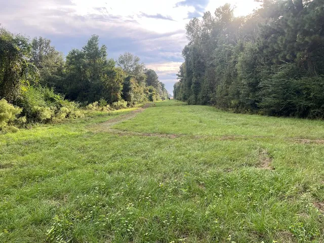 $1,043,030 | Tbd Tbd Ms-568, Osyka, MS 39657