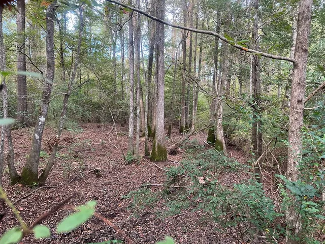 $1,043,030 | Tbd Tbd Ms-568, Osyka, MS 39657