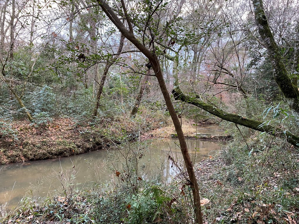 Tbd Tbd Ms-568 Osyka, MS 39657 - Photo 3 of 37 Photo 3