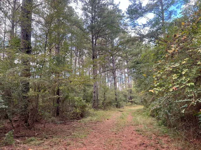 $1,043,030 | Tbd Tbd Ms-568, Osyka, MS 39657