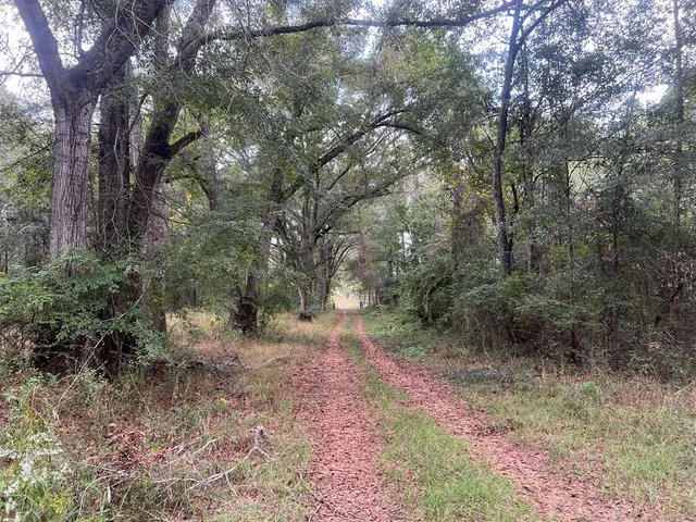 $1,043,030 | Tbd Tbd Ms-568, Osyka, MS 39657