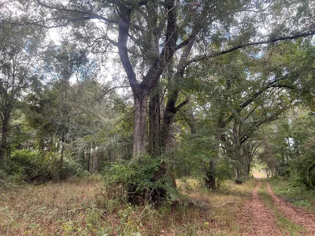 $1,043,030 | Tbd Tbd Ms-568, Osyka, MS 39657