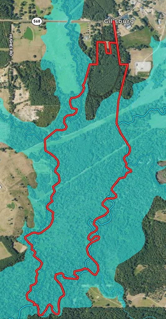 Tbd Tbd Ms-568 Osyka, MS 39657 - Photo 35 of 37 Photo 39