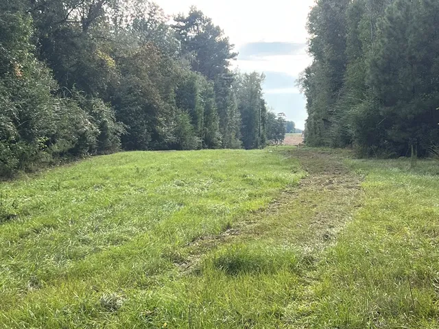 $1,043,030 | Tbd Tbd Ms-568, Osyka, MS 39657