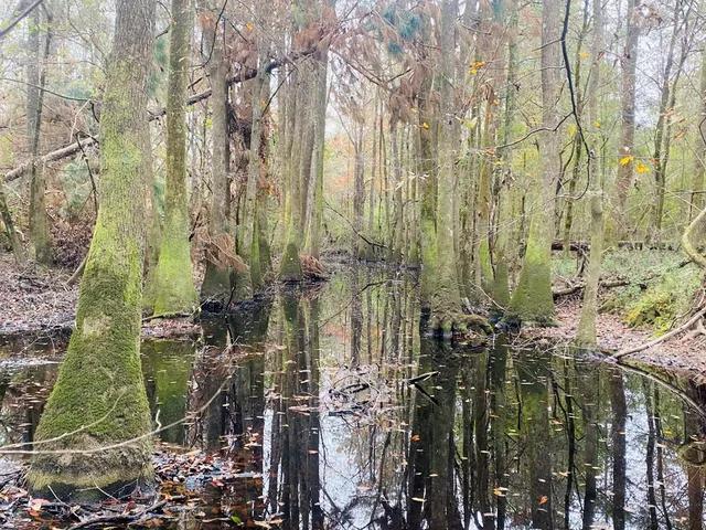 $1,043,030 | Tbd Tbd Ms-568, Osyka, MS 39657