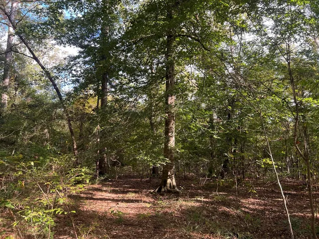 $1,043,030 | Tbd Tbd Ms-568, Osyka, MS 39657