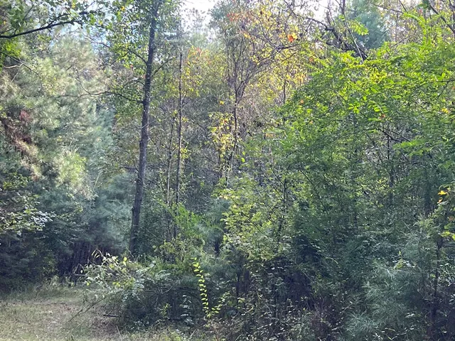 $1,043,030 | Tbd Tbd Ms-568, Osyka, MS 39657