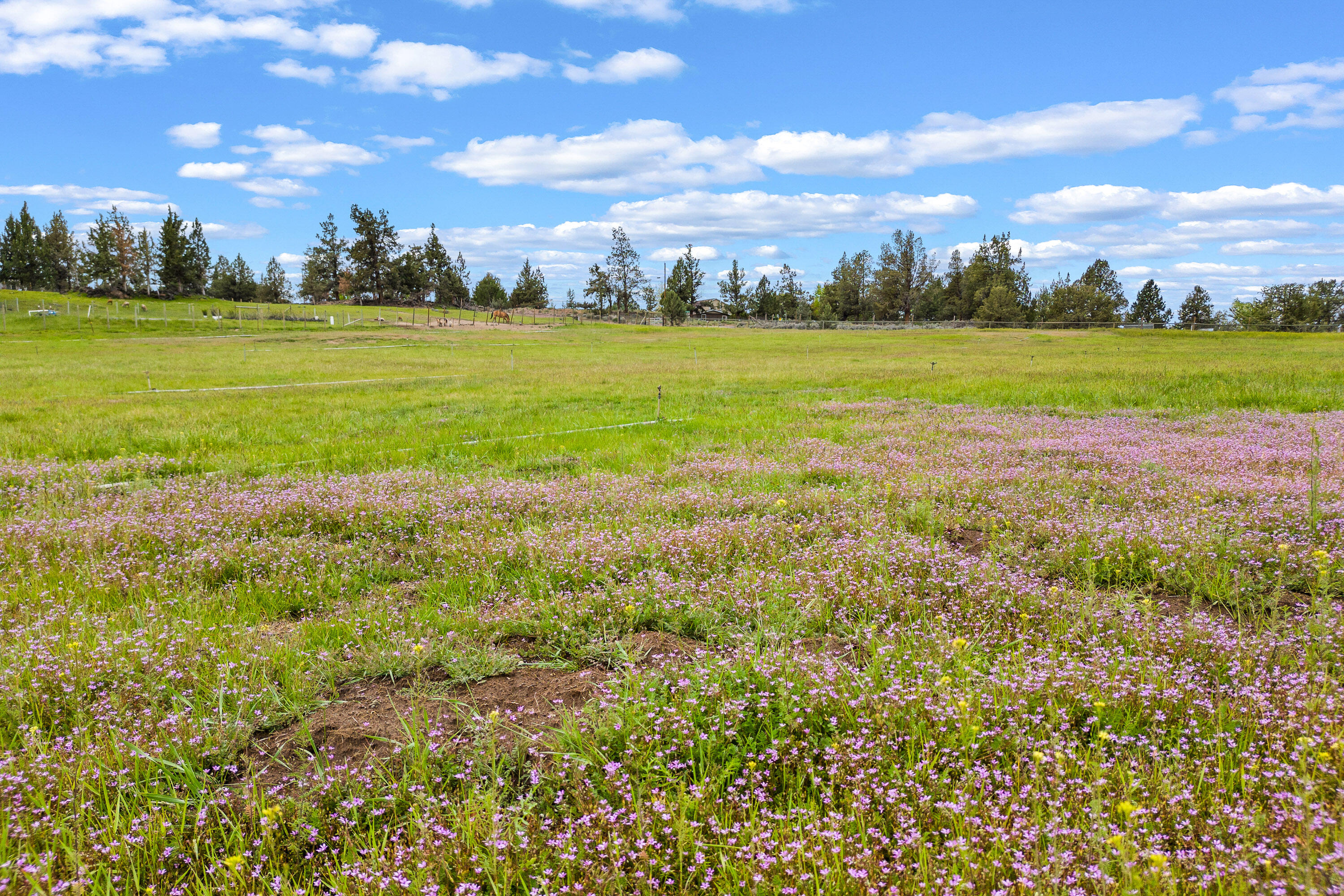 62760 Dixon Loop Bend, OR 97701 - Photo 62 of 69 58 pasture
