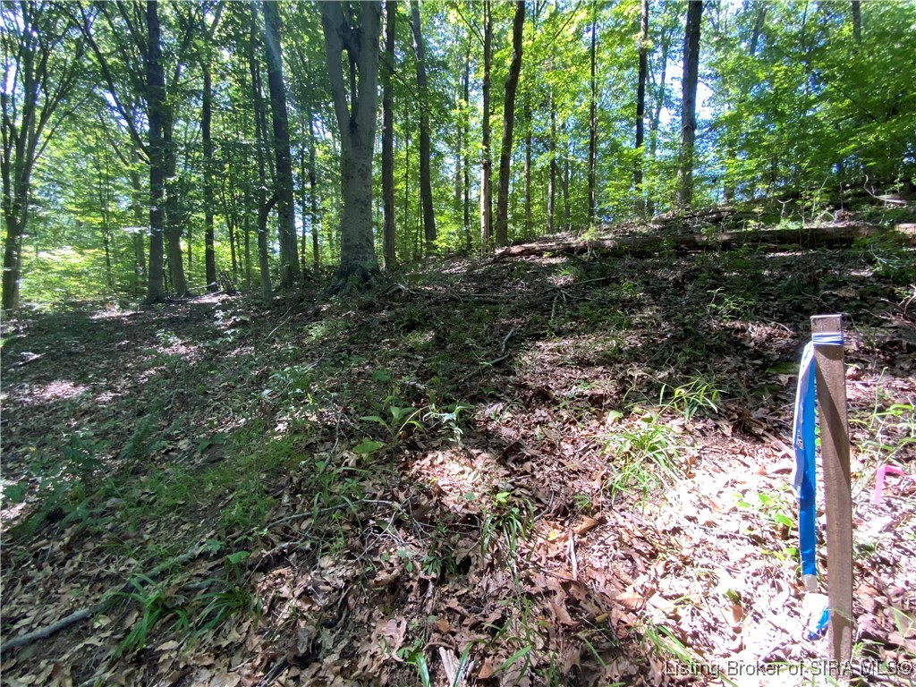 Sr-446 Bloomington, IN 47401 - Photo 11 of 21