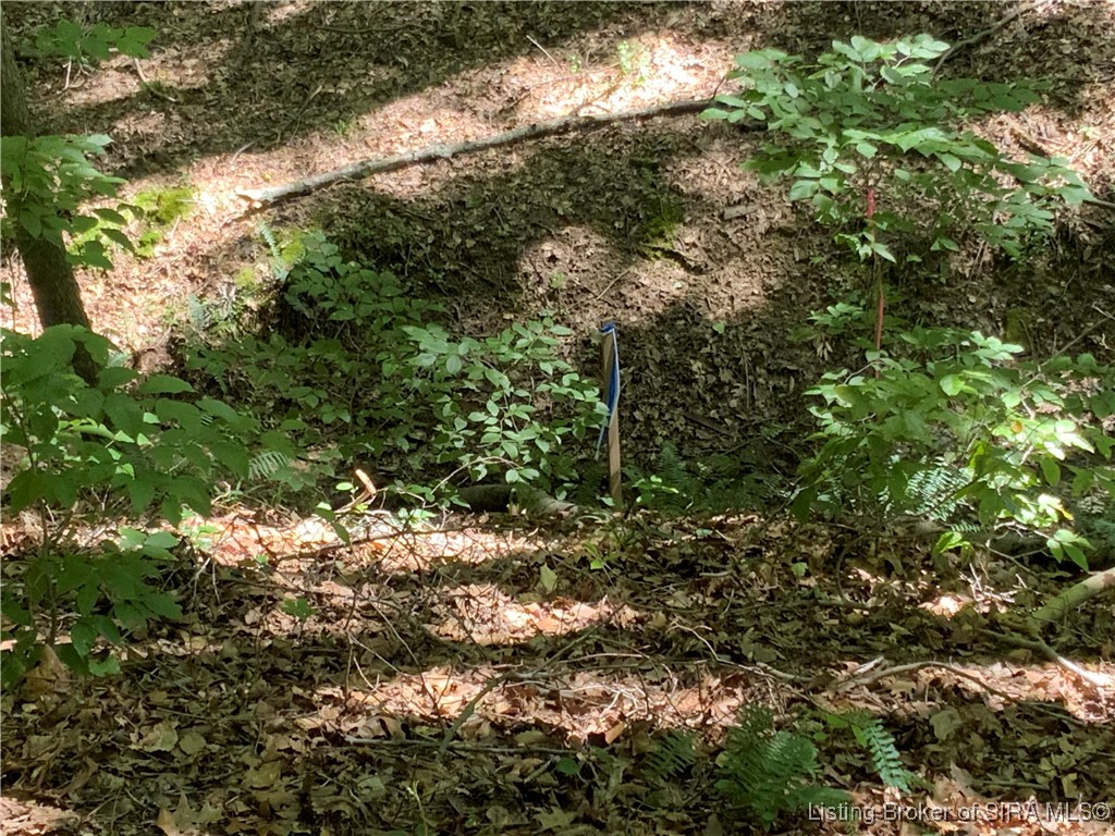 Sr-446 Bloomington, IN 47401 - Photo 12 of 21