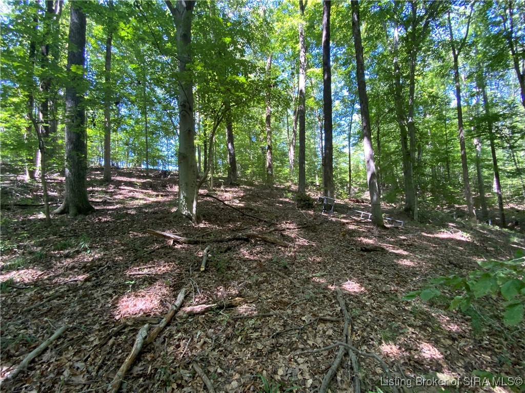 Sr-446 Bloomington, IN 47401 - Photo 13 of 21