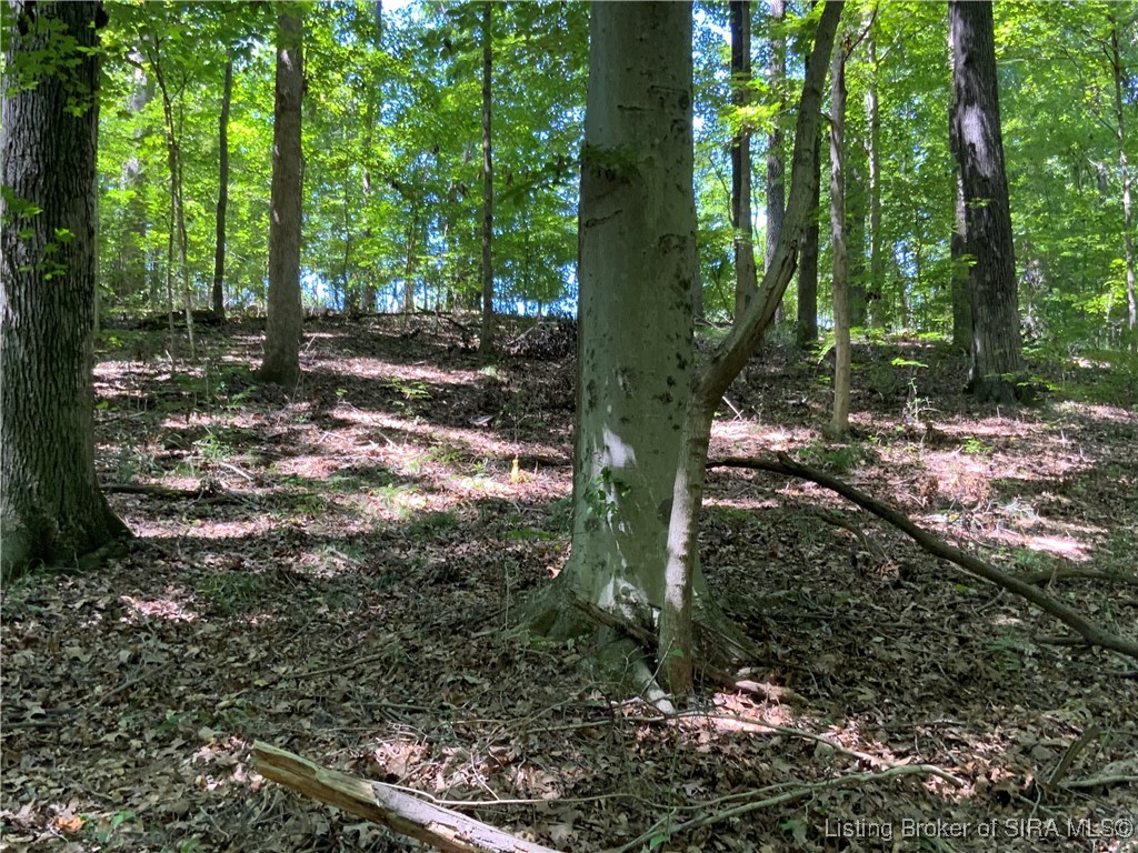 Sr-446 Bloomington, IN 47401 - Photo 15 of 21