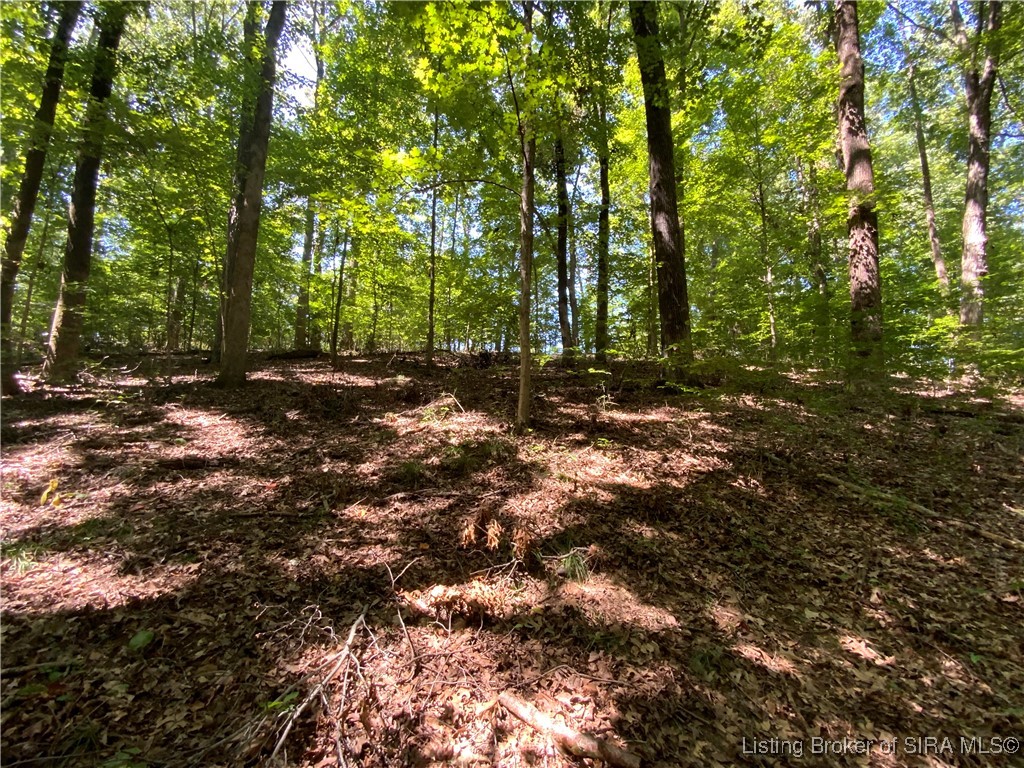 Sr-446 Bloomington, IN 47401 - Photo 17 of 21