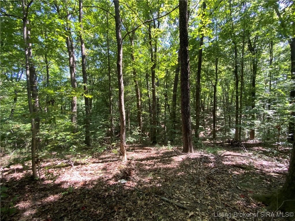 Sr-446 Bloomington, IN 47401 - Photo 18 of 21