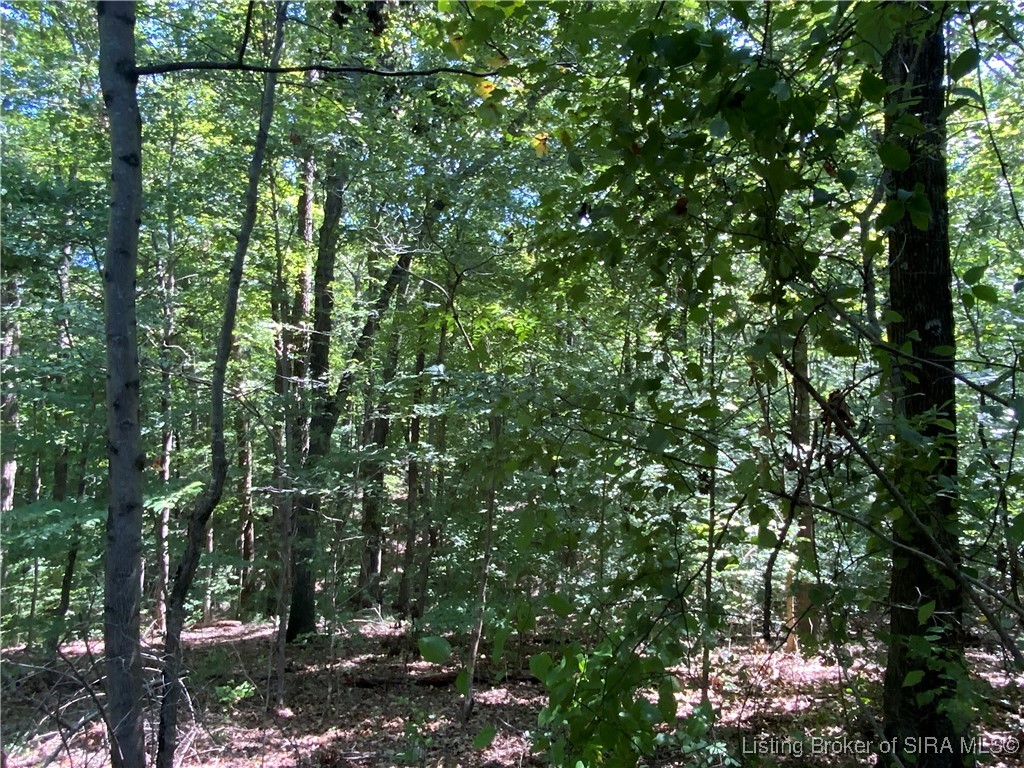 Sr-446 Bloomington, IN 47401 - Photo 19 of 21