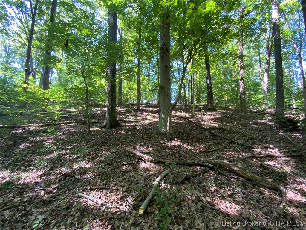 Sr-446 Bloomington, IN 47401 - Photo 20 of 21