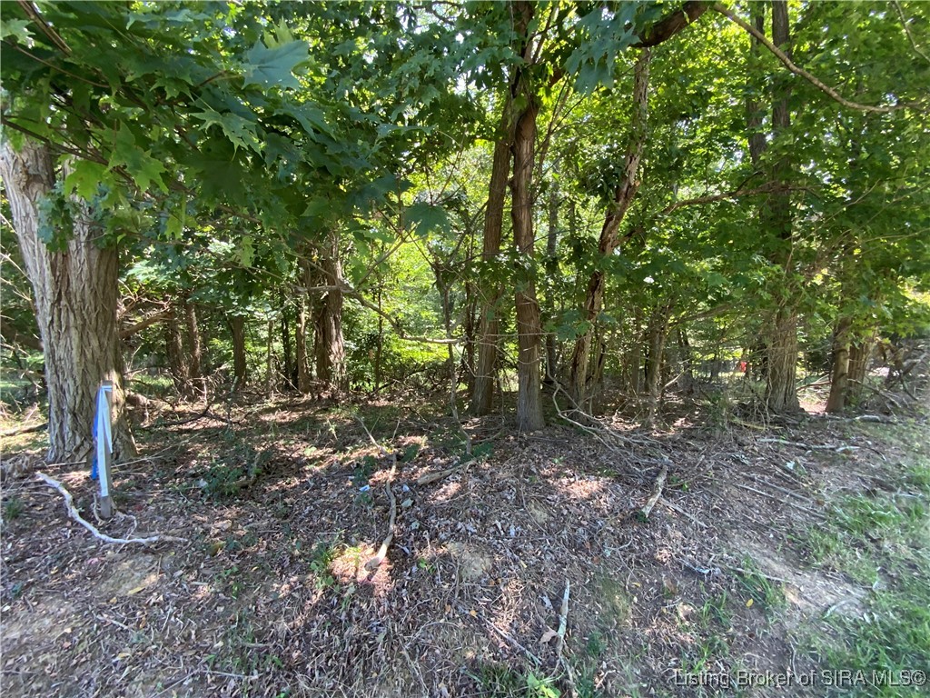 Sr-446 Bloomington, IN 47401 - Photo 9 of 21