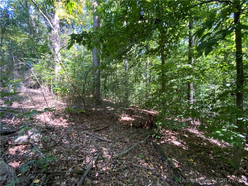 Sr-446 Bloomington, IN 47401 - Photo 10 of 21