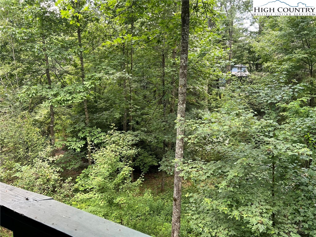 215 Spring Brook Road Newland, NC 28657 - Photo 9 of 17 Gallery Image 9