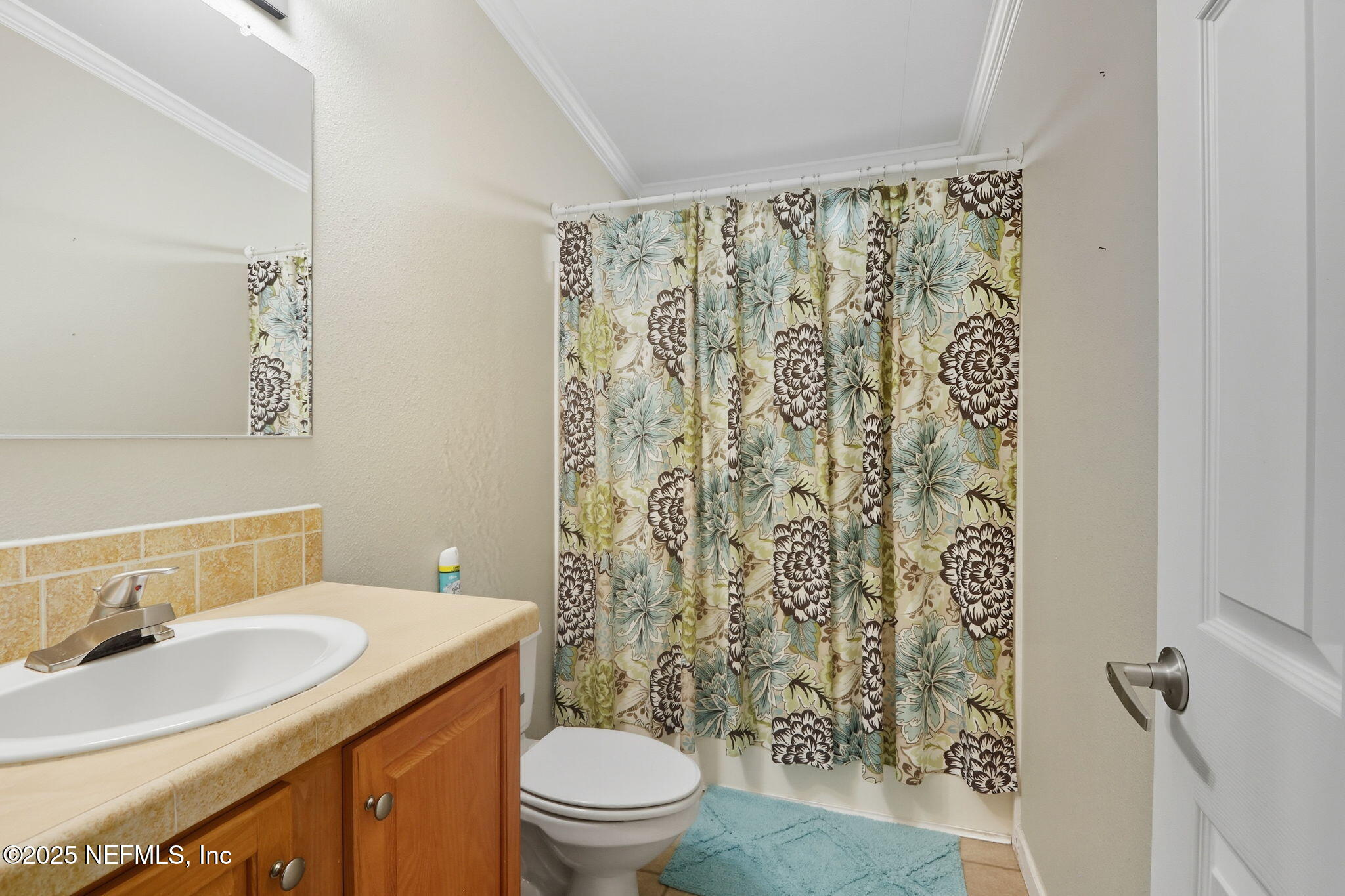 2054 Louie Carter Road Jacksonville, FL 32234 - Photo 8 of 32 a bathroom with a granite countertop sink toilet and shower