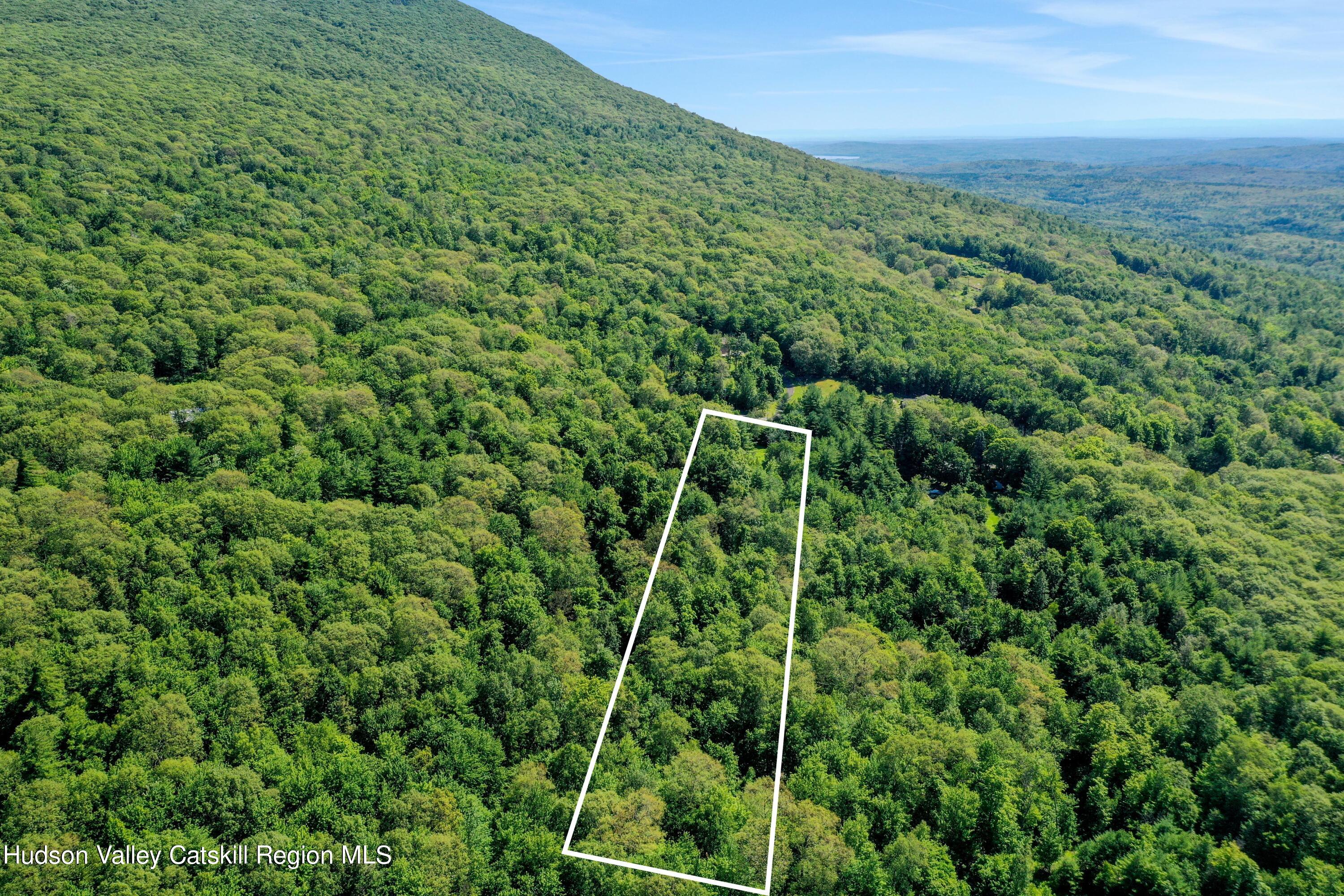 0 Haver Road Olivebridge, NY 12461 - Photo 1 of 8 Untitled design (1)