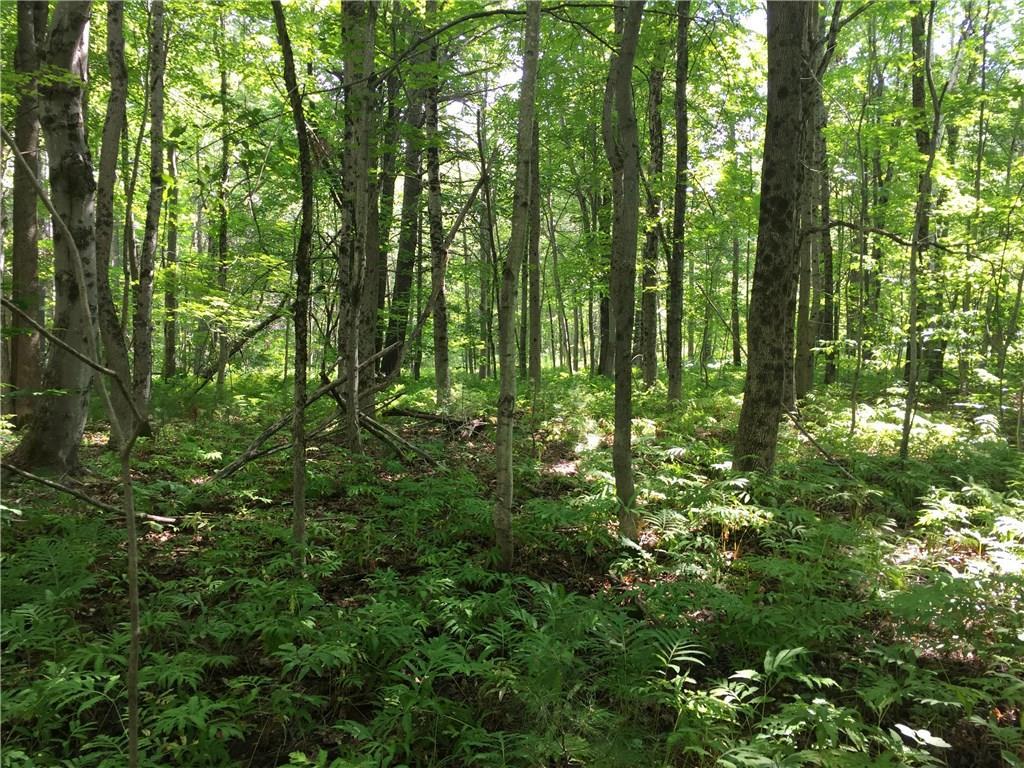 0 Spiller Hill Road Raymond, ME 04071 - Photo 11 of 20 Photo