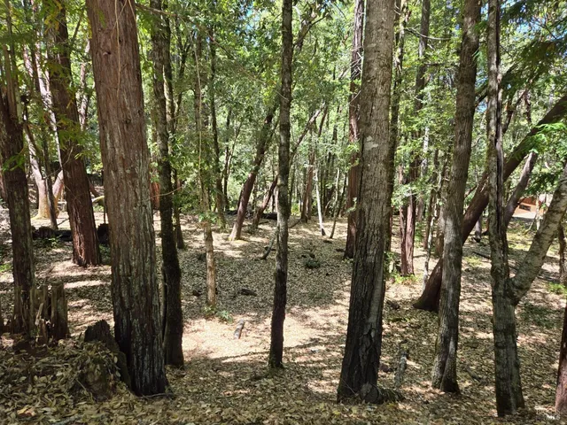 a view of outdoor space