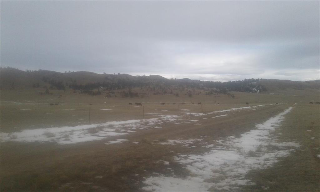 4496 Larimer Road Hartsel, CO 80449 - Photo 3 of 5 a view of lake view and mountain
