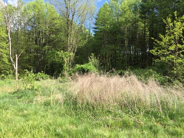 8 Martha's Knob Road, Unit 8 Galax, VA 24333 - Photo 1 of 1 Gallery Image 1