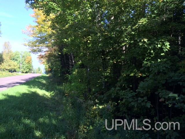 Tbd Off Townline Road, Unit 12 ACRES Ontonagon, MI 49953 - Photo 4 of 4 Gallery Image 4